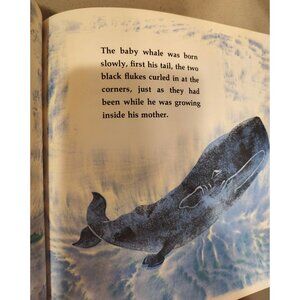 Vintage The Mother Whale Hardcover Children's Book, Edith Hurd, 1973 READ